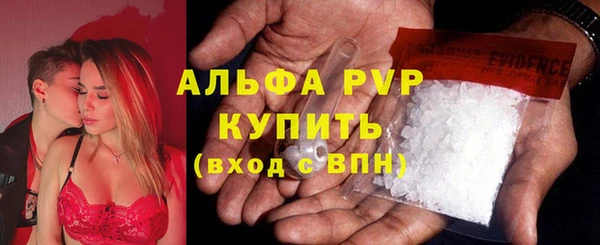 винт Бородино
