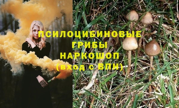 ПСИЛОЦИБИНОВЫЕ ГРИБЫ Бугульма