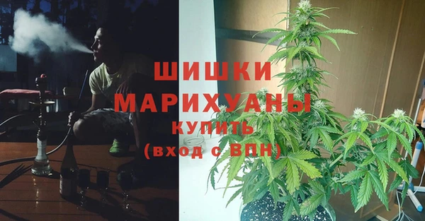 винт Бородино