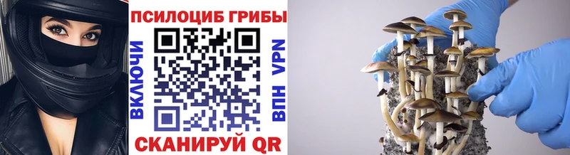 купить   Шуя  Галлюциногенные грибы GOLDEN TEACHER 